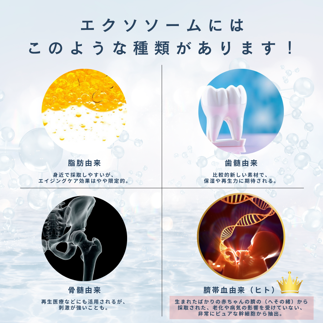 LEALYS CREAM - Member's Special
